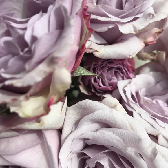 Meet your Posher, Alyssia - Picture 6 of 6